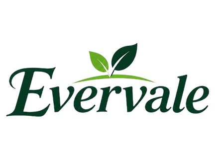 evervale homepage logo